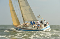 2015 Vineyard Race A 1491