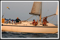 proof_2010 Gov Cup B 800