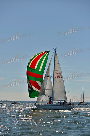 2017 Vineyard Race A_0187