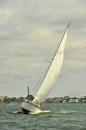2016 Southern Bay Race Week G_0287