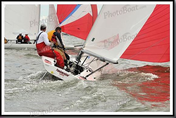 proof_2010_EScows_A 910