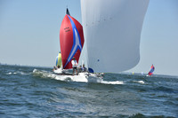 2019 Vineyard Race A_0621