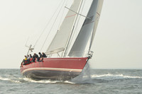 2015 Vineyard Race B 282
