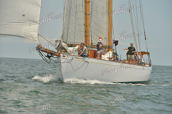 2018 Vineyard Cup B_0245