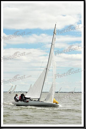 proof_2010_EScows_A 1381