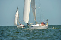 2015 Southern Bay Race Week C 1121