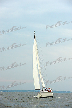 2014 Gov Cup A 2204