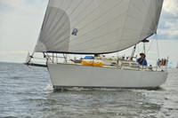 2016 Vineyard Race A_0903