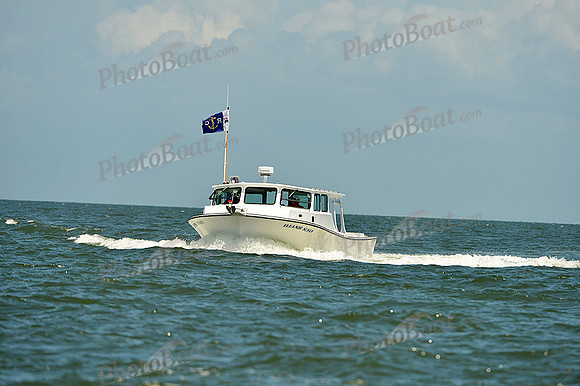 2015 Southern Bay Race Week D 196