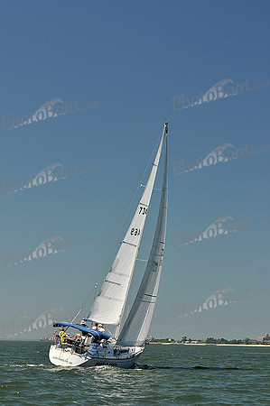 2013 Southern Bay Race Week C 1239