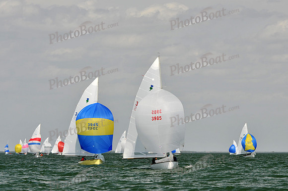 2012 Thistle Midwinters B 1437