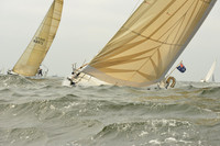 2015 Vineyard Race A 232