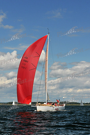 2010 IRC LIS 1316
