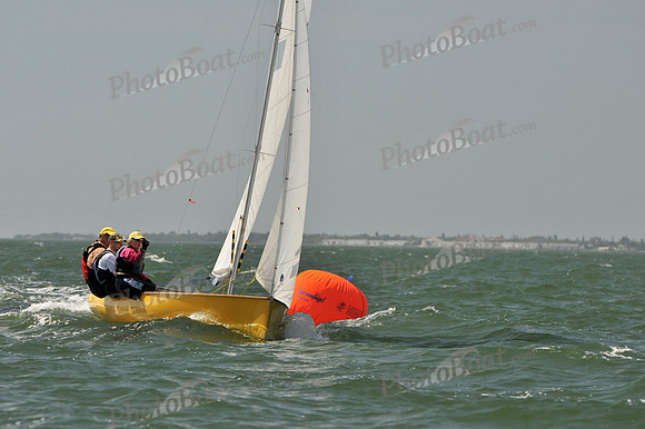 2012 Thistle Midwinters B 1182