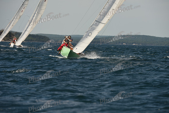 2016 Chester Race Week A_1185