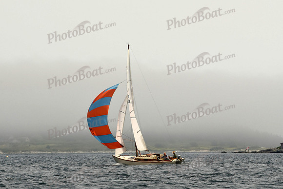 2016 Chester Race Week C 876