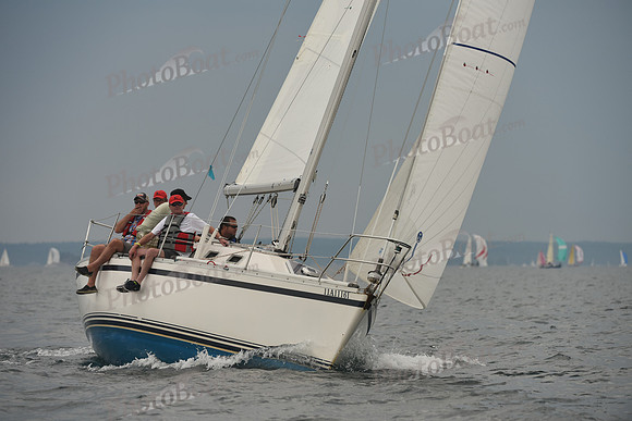 2016 Chester Race Week D_0588