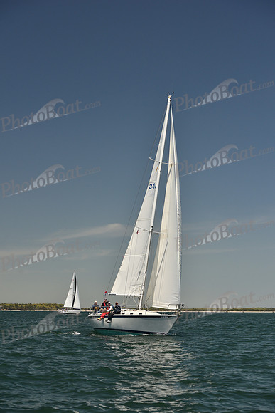 2024 Figawi 0547