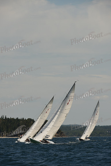 2016 Chester Race Week A_1167