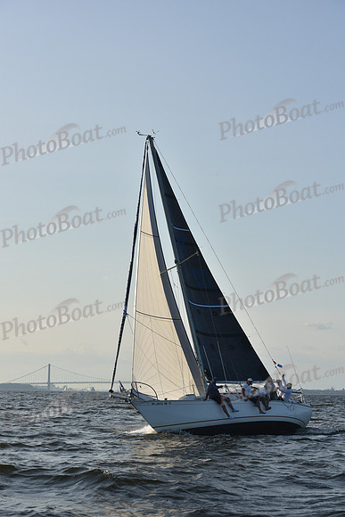 2019 ALIR_2098