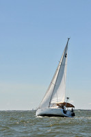 2014 Southern Bay Race Week D 448
