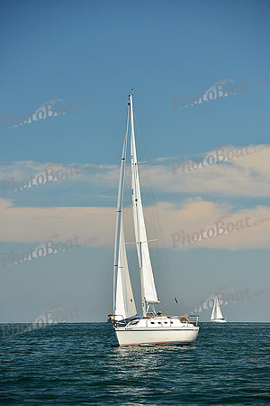 2015 Cape Charles Cup C 359