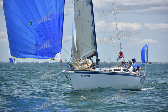 2019 Figawi_1485