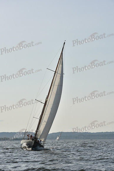 2019 ALIR_1531