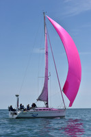 2019 Figawi_1568