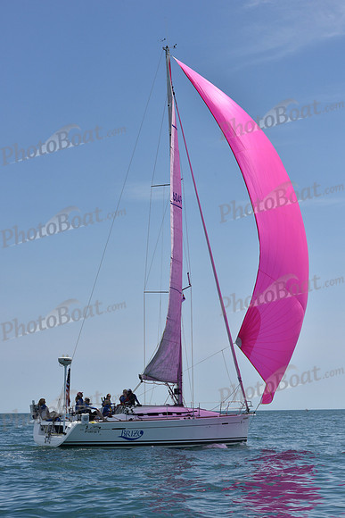 2019 Figawi_1568
