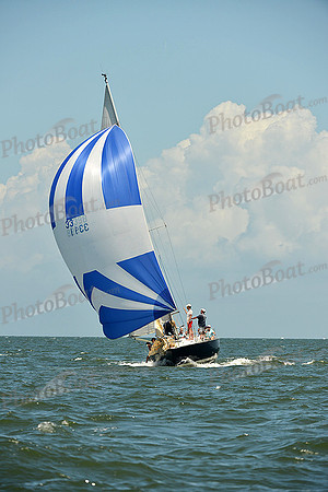 2015 Southern Bay Race Week D 334