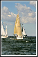 proof_2010_Vineyard_Race_1037