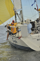 2016 Vineyard Race A_0736