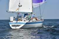 2019 Vineyard Race A_2886