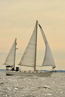 2017 Vineyard Race B_0274