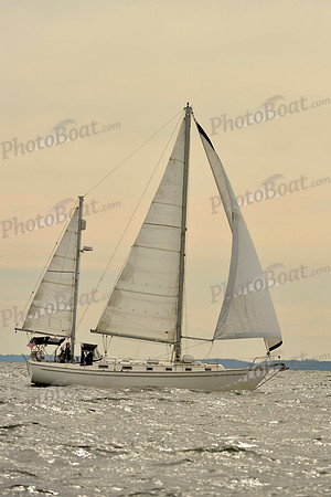 2017 Vineyard Race B_0274