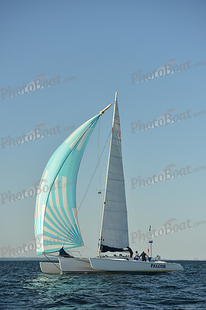 2015 Vineyard Race C 776