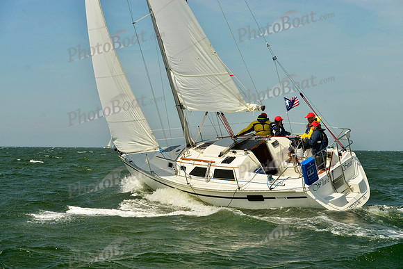 2018 Figawi_0157