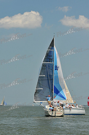 2013 Southern Bay Race Week A 464