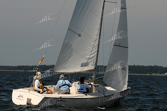 2011 Screwpile C 238