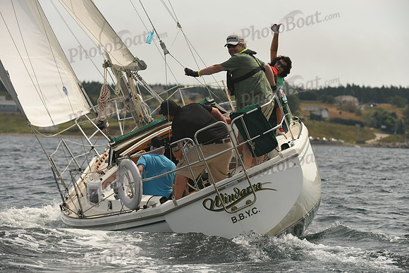 2016 Chester Race Week C_0763