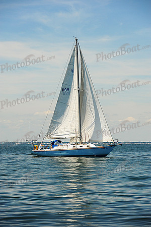 2015 Cape Charles Cup B 272