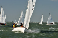 2012 Thistle Midwinters B 584