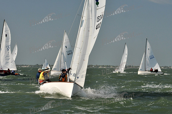 2012 Thistle Midwinters B 584