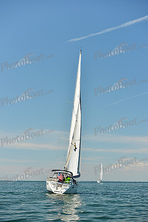 2015 Cape Charles Cup C 445