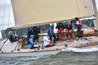 Cavalino