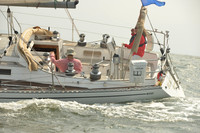 2015 Vineyard Race A 418