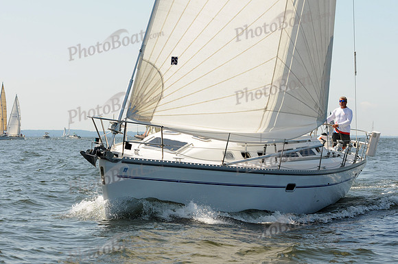 2011 Vineyard Race A 110