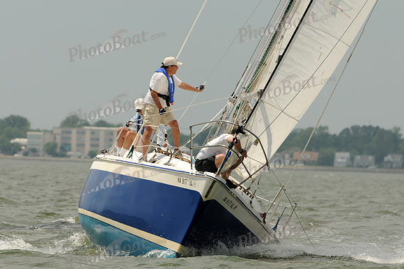 2012 Southern Bay Race Week A 3018