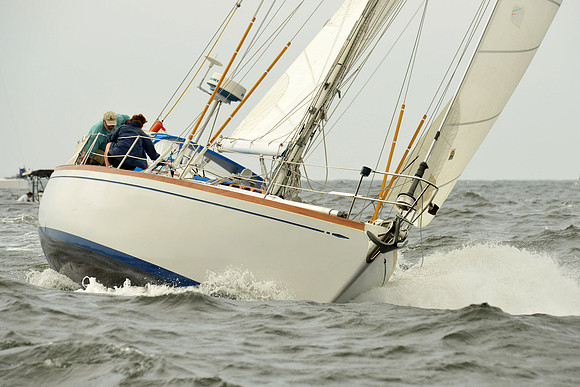 2015 Vineyard Race A 105